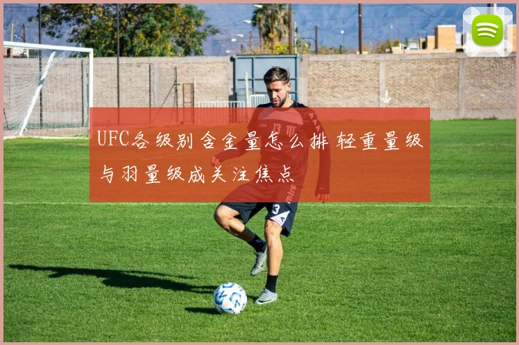 UFC各级别含金量怎么排 轻重量级与羽量级成关注焦点