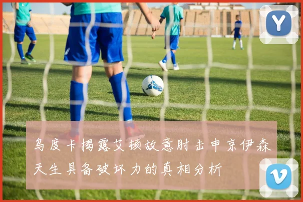 乌度卡揭露艾顿故意肘击申京伊森天生具备破坏力的真相分析