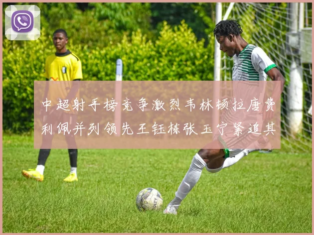 中超射手榜竞争激烈韦林顿拉唐费利佩并列领先王钰栋张玉宁紧追其后
