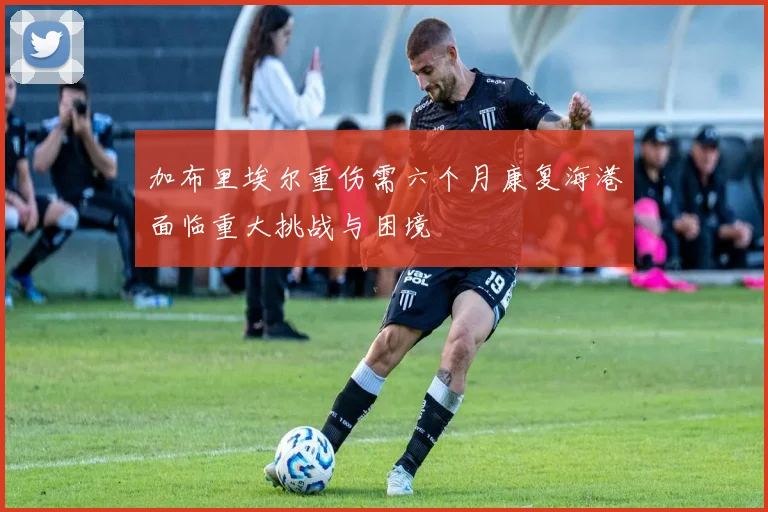 加布里埃尔重伤需六个月康复海港面临重大挑战与困境